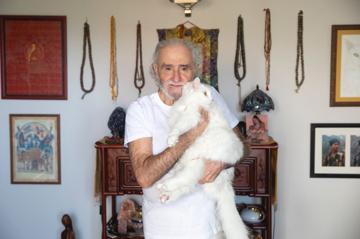 Ramiro Calle describe a los gatos como yoguis naturales y maestros espirituales