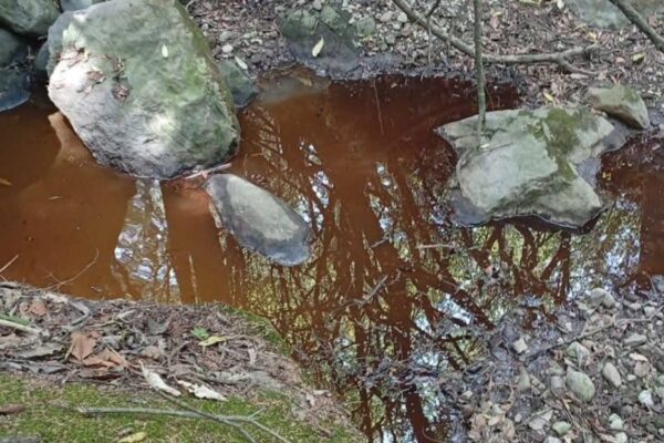 Abordan crisis hídrica en México con foro especializado, limpieza del Río Cuautla y emergencia por derrame en Edomex