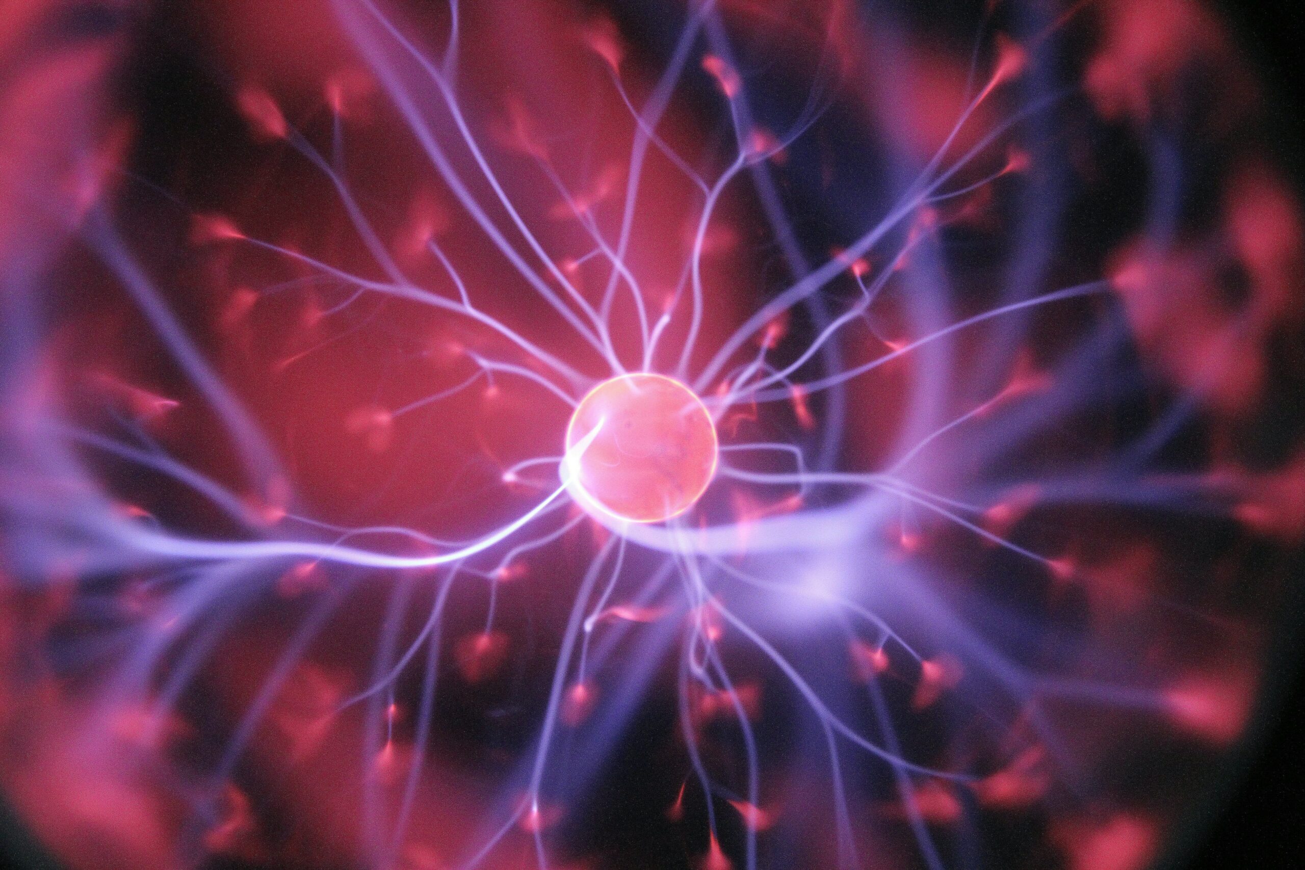 Desarrollan en España implante de grafeno que lee y modula señales cerebrales