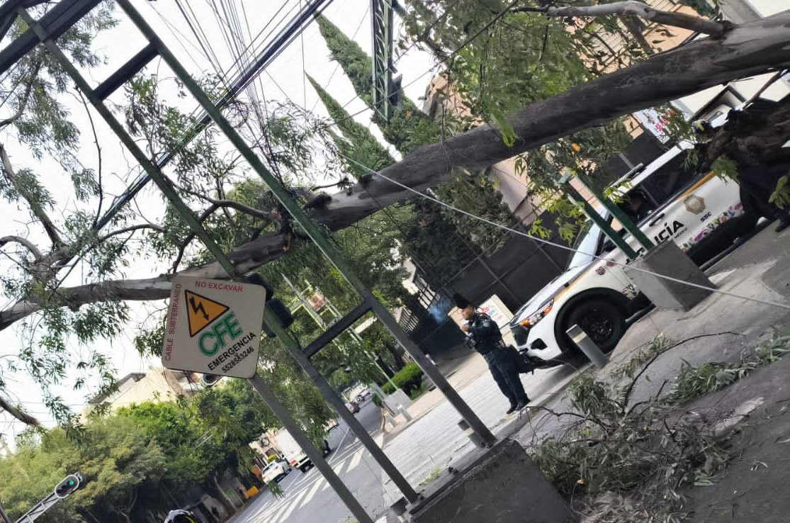 Bomberos de la CDMX retiran siete árboles caídos en cinco alcaldías