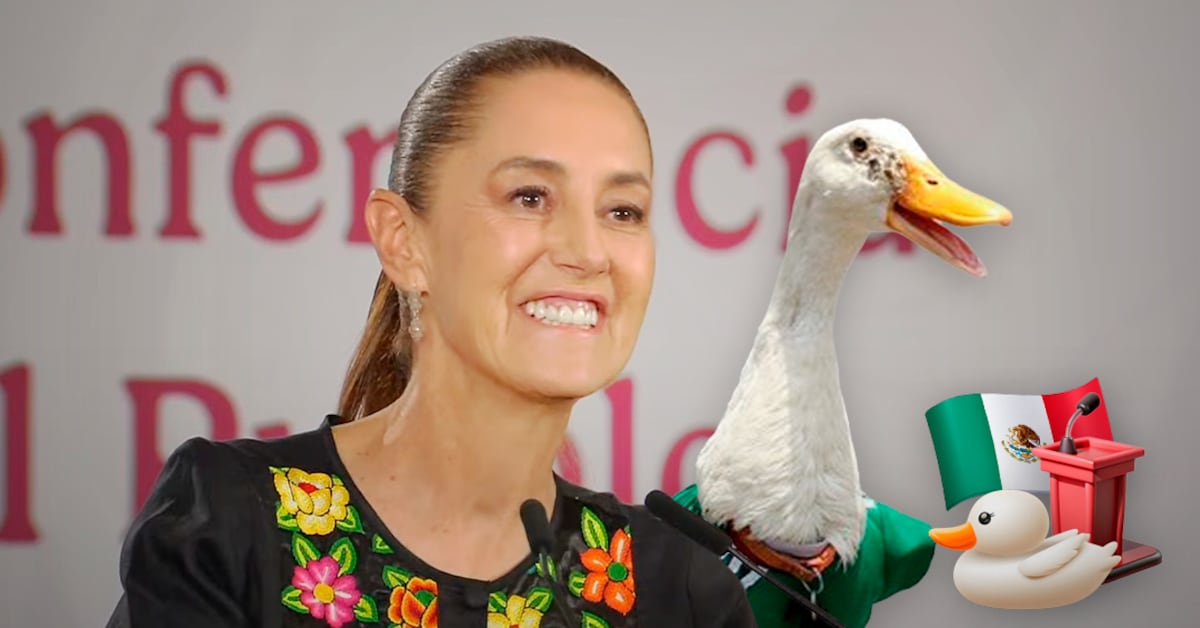 Sheinbaum confirma visita del Rey Felipe VI e invita al pato Merlín a La Mañanera