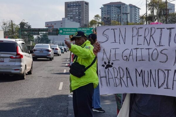 México lanza operativo ‘Tarjeta Azul’ contra explotación infantil y cierra mesas de diálogo por bienestar animal previo al Mundial 2026