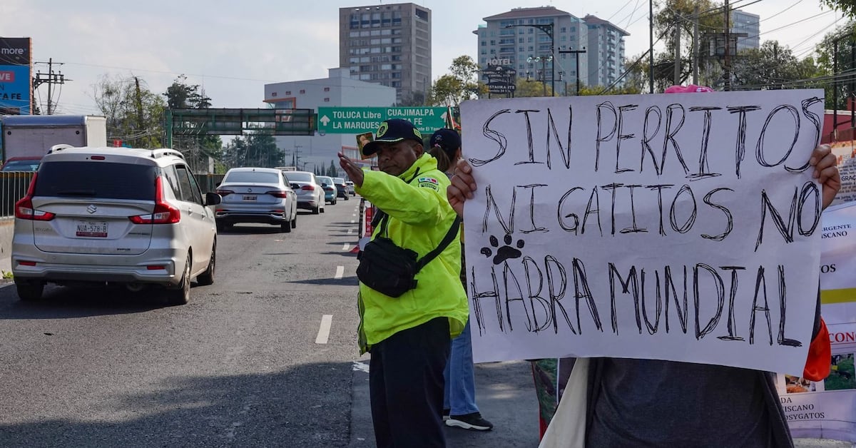 México lanza operativo ‘Tarjeta Azul’ contra explotación infantil y cierra mesas de diálogo por bienestar animal previo al Mundial 2026