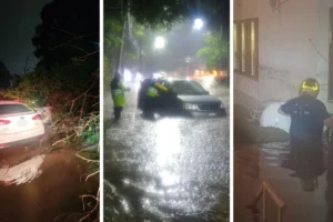Activan alerta púrpura en Cuajimalpa por lluvias y granizo; árbol cae sobre dos vehículos