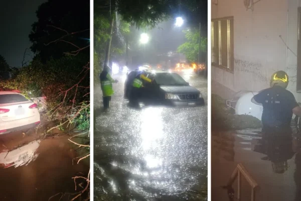 Activan alerta púrpura en Cuajimalpa por lluvias y granizo; árbol cae sobre dos vehículos