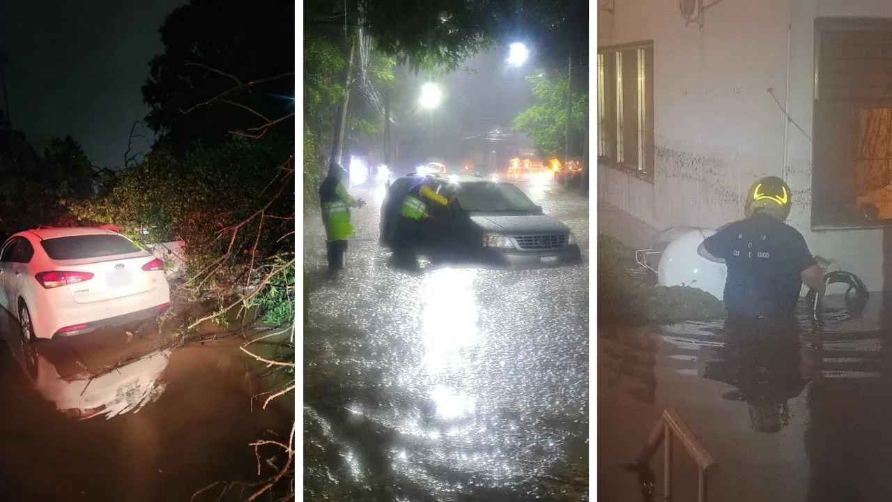 Activan alerta púrpura en Cuajimalpa por lluvias y granizo; árbol cae sobre dos vehículos