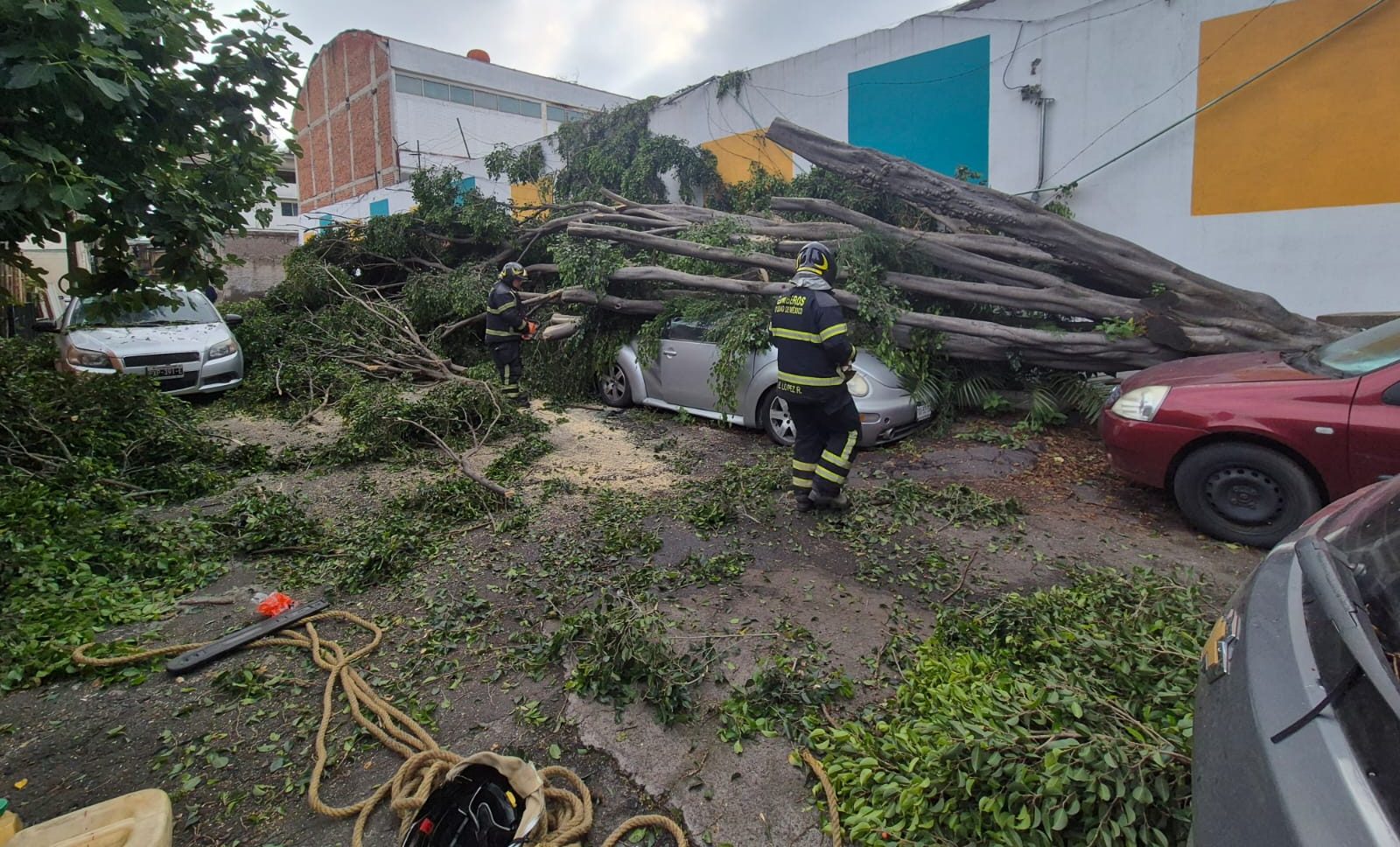 Bomberos de la CDMX retiran 20 árboles caídos en seis alcaldías por lluvias