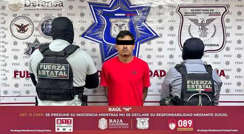 Fuerzas de seguridad desmantelan hangar y aseguran avioneta con presunta droga en el Valle de Mexicali