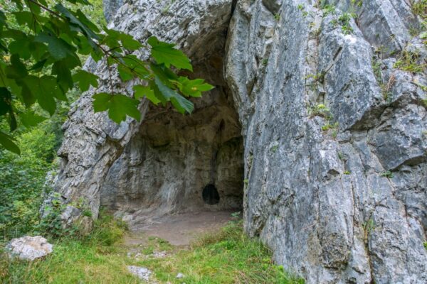 Estudio de ADN de neandertales tardíos cuestiona prejuicios sobre su extinción