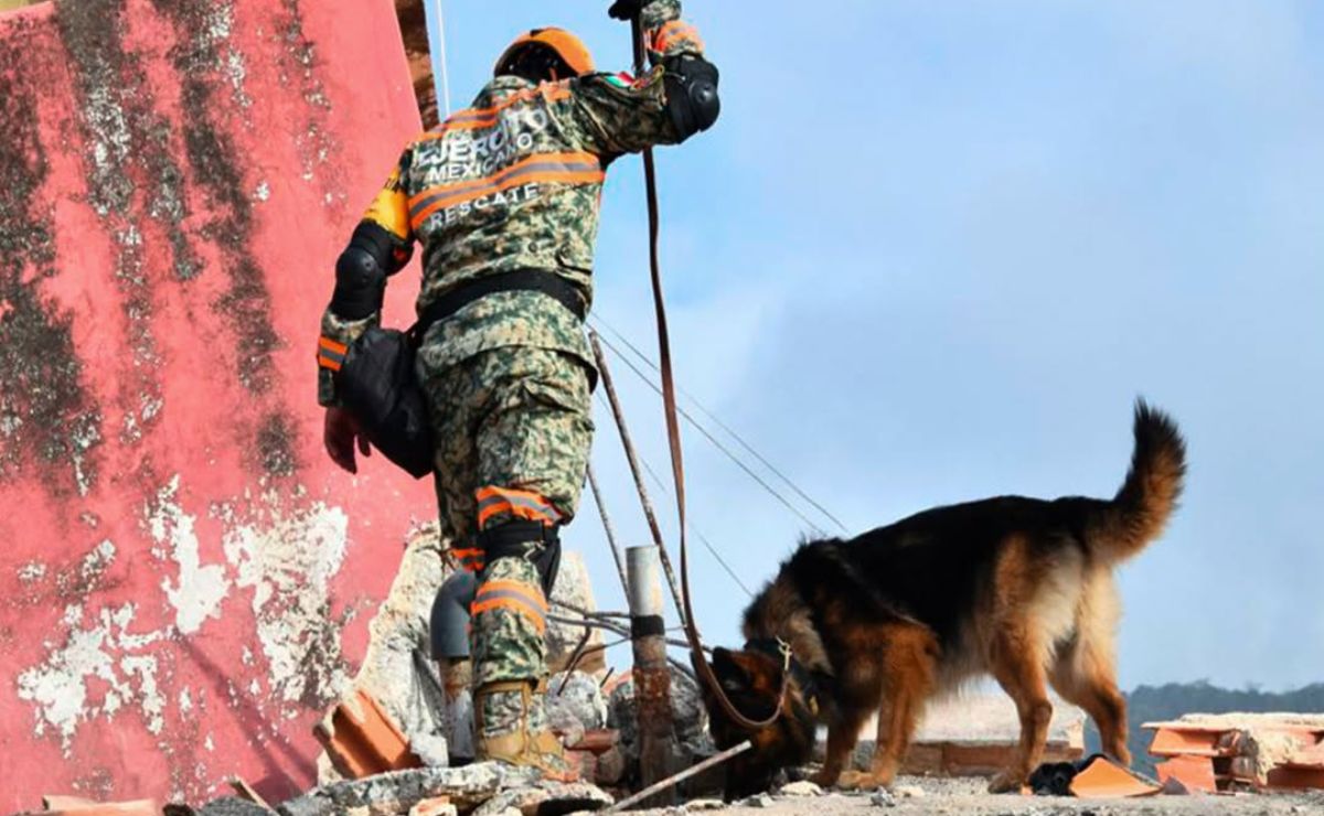 Brigada mexicana rescata a dos personas y busca desaparecidos tras sismos en Venezuela
