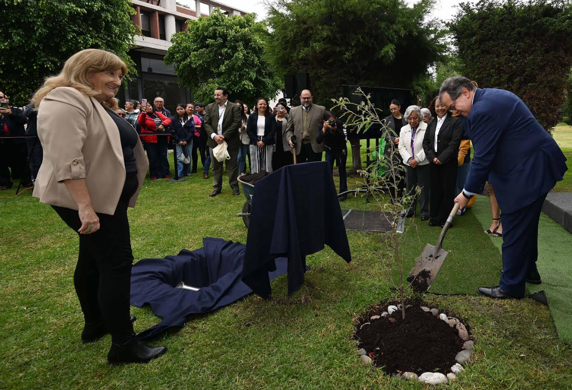 Conmemora UNAM 475 años con siembra de ahuehuetes y sorteo por los 70 de su Biblioteca Central
