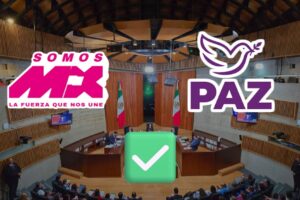 INE otorga registro a Somos México y Partido Paz; niega inscripción a otras dos organizaciones