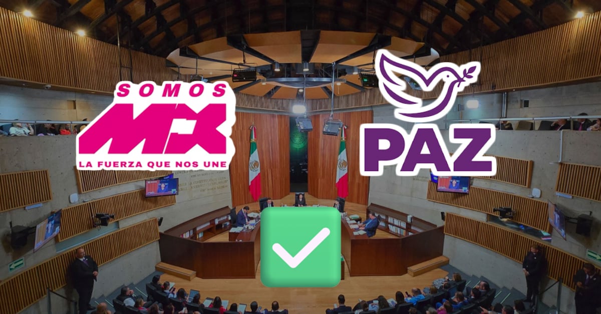 INE otorga registro a Somos México y Partido Paz; niega inscripción a otras dos organizaciones