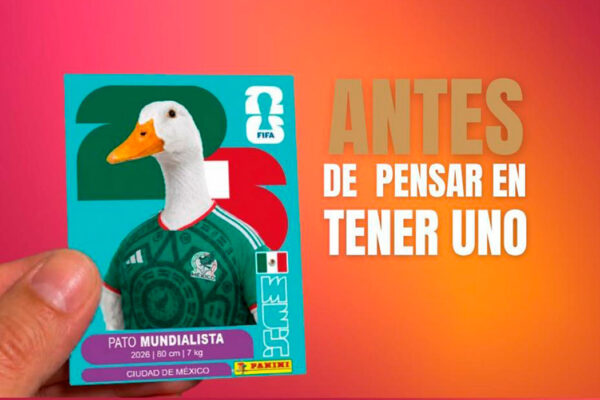 Alerta GCDMX sobre tenencia responsable de patos tras popularidad de Merlín