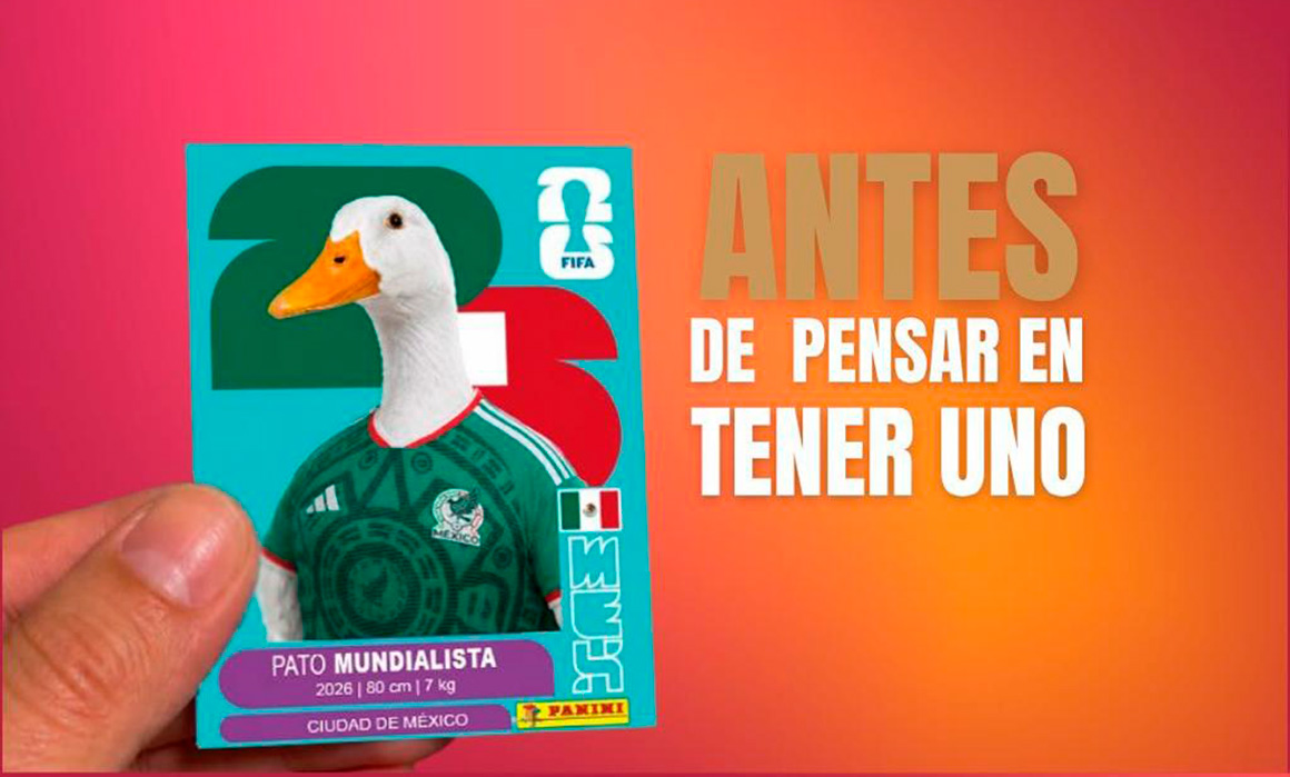 Alerta GCDMX sobre tenencia responsable de patos tras popularidad de Merlín