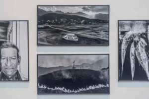 Museo Franz Mayer exhibe World Press Photo 2026 y ‘El Archivo’ por aniversarios