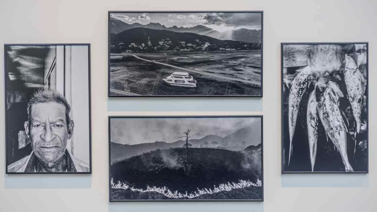 Museo Franz Mayer exhibe World Press Photo 2026 y ‘El Archivo’ por aniversarios