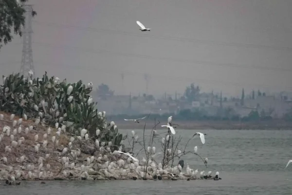Conagua inicia mantenimiento en ríos del Valle de México para evitar desbordamientos