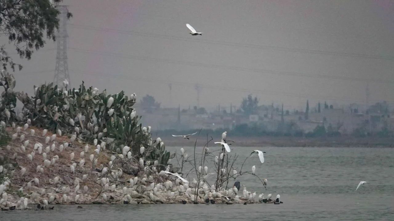 Conagua inicia mantenimiento en ríos del Valle de México para evitar desbordamientos