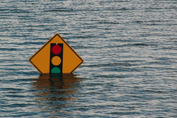 Descubren cementerio de ballenas a 7.000 metros en el Índico y alertan sobre aumento de inundaciones