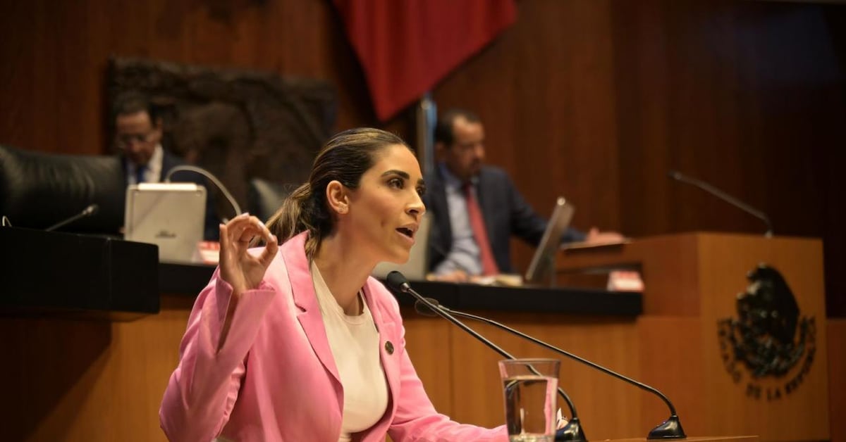 Cancelan entrega de respuesta de la SEP al IPN por intento de devolución de dinero; destacan reformas educativas