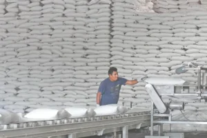 Sobreoferta de azúcar presiona precios en el mercado mexicano