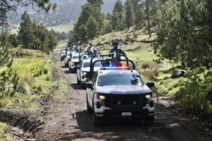Reducen 95% la tala ilegal en el Ajusco tras operativos interinstitucionales