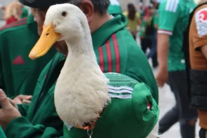 Ricardo Salinas Pliego invita al Pato Merlín y su familia al partido México vs Chequia