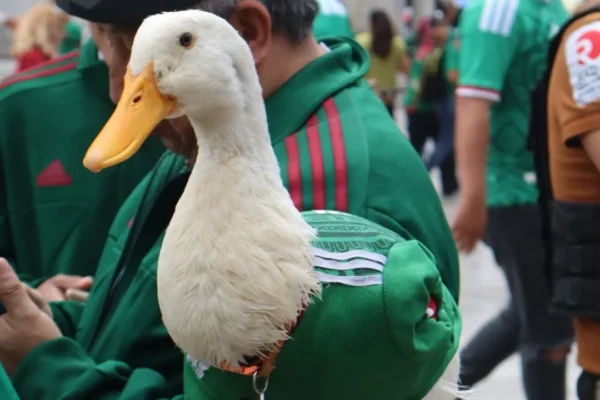 Ricardo Salinas Pliego invita al Pato Merlín y su familia al partido México vs Chequia