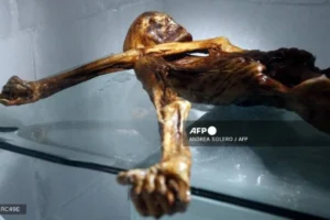 Científicos cultivan levadura de la momia Ötzi y logran hornear pan