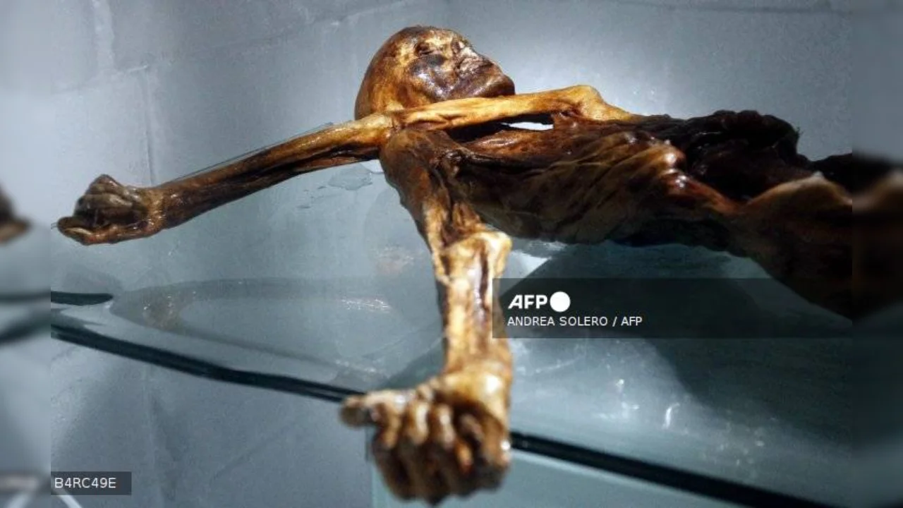 Científicos cultivan levadura de la momia Ötzi y logran hornear pan