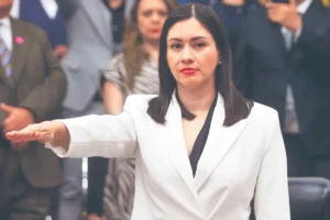 INE recuerda a partidos su responsabilidad en revisión de candidatos