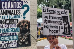 Manifestantes del Refugio Franciscano exigen devolución de animales frente a Reforma 222
