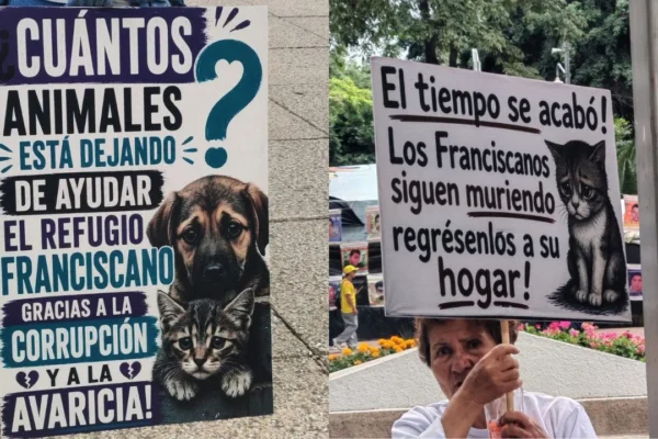 Manifestantes del Refugio Franciscano exigen devolución de animales frente a Reforma 222