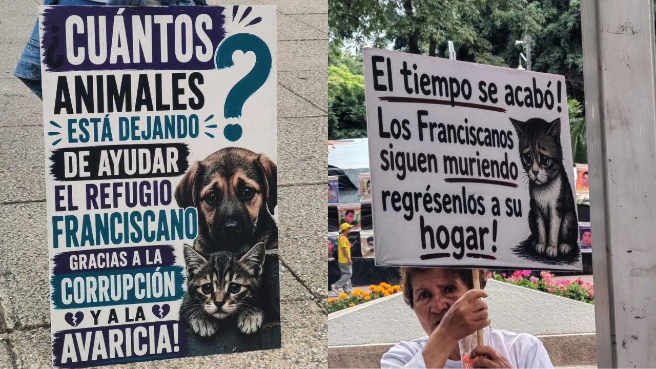 Manifestantes del Refugio Franciscano exigen devolución de animales frente a Reforma 222