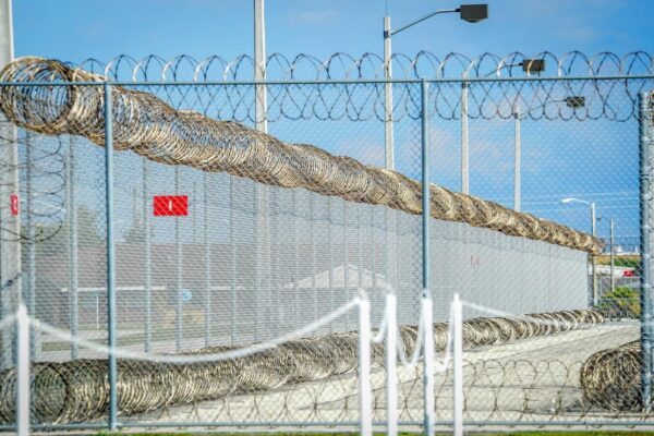 Muere inmigrante georgiano bajo custodia del ICE en Luisiana