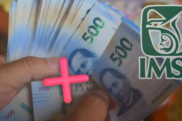 Inhabilitan a proveedores de IMSS y Servicio Postal por presentar documentación falsa