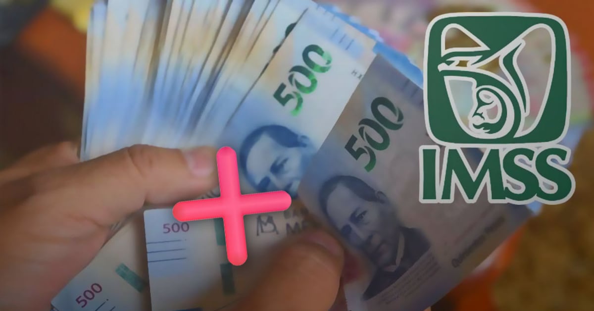 Inhabilitan a proveedores de IMSS y Servicio Postal por presentar documentación falsa