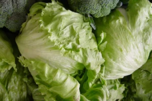 México y EU descartan Cyclospora en lechugas mexicanas tras brote en Estados Unidos