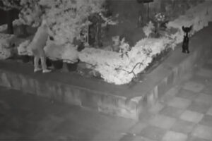 Roban esculturas de bronce inspiradas en Varo y Carrington de la iglesia de San Cosme