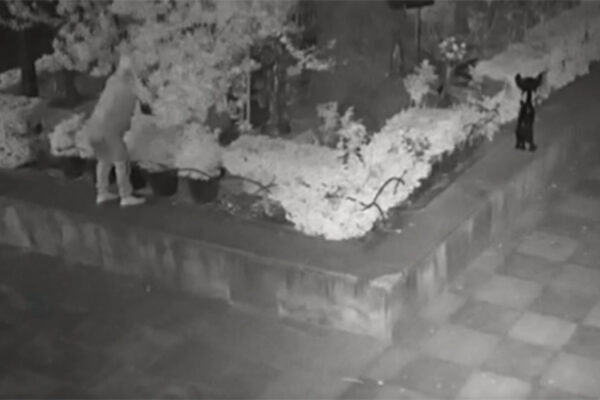 Roban esculturas de bronce inspiradas en Varo y Carrington de la iglesia de San Cosme
