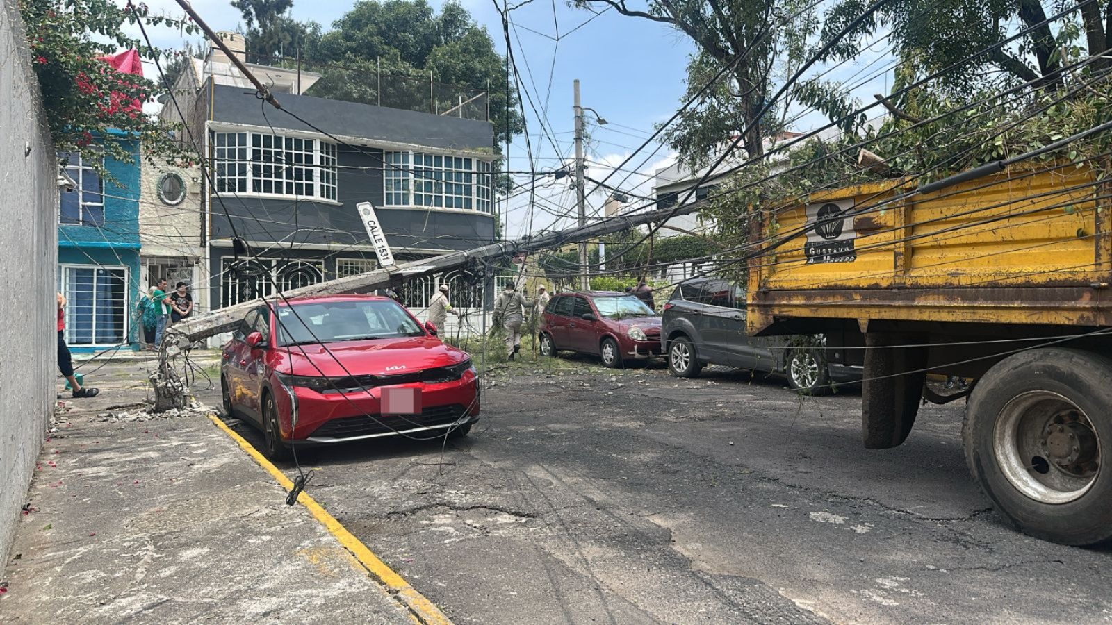 Activan Alerta Amarilla por lluvias en CDMX; árbol de 15 metros colapsa en Gustavo A. Madero