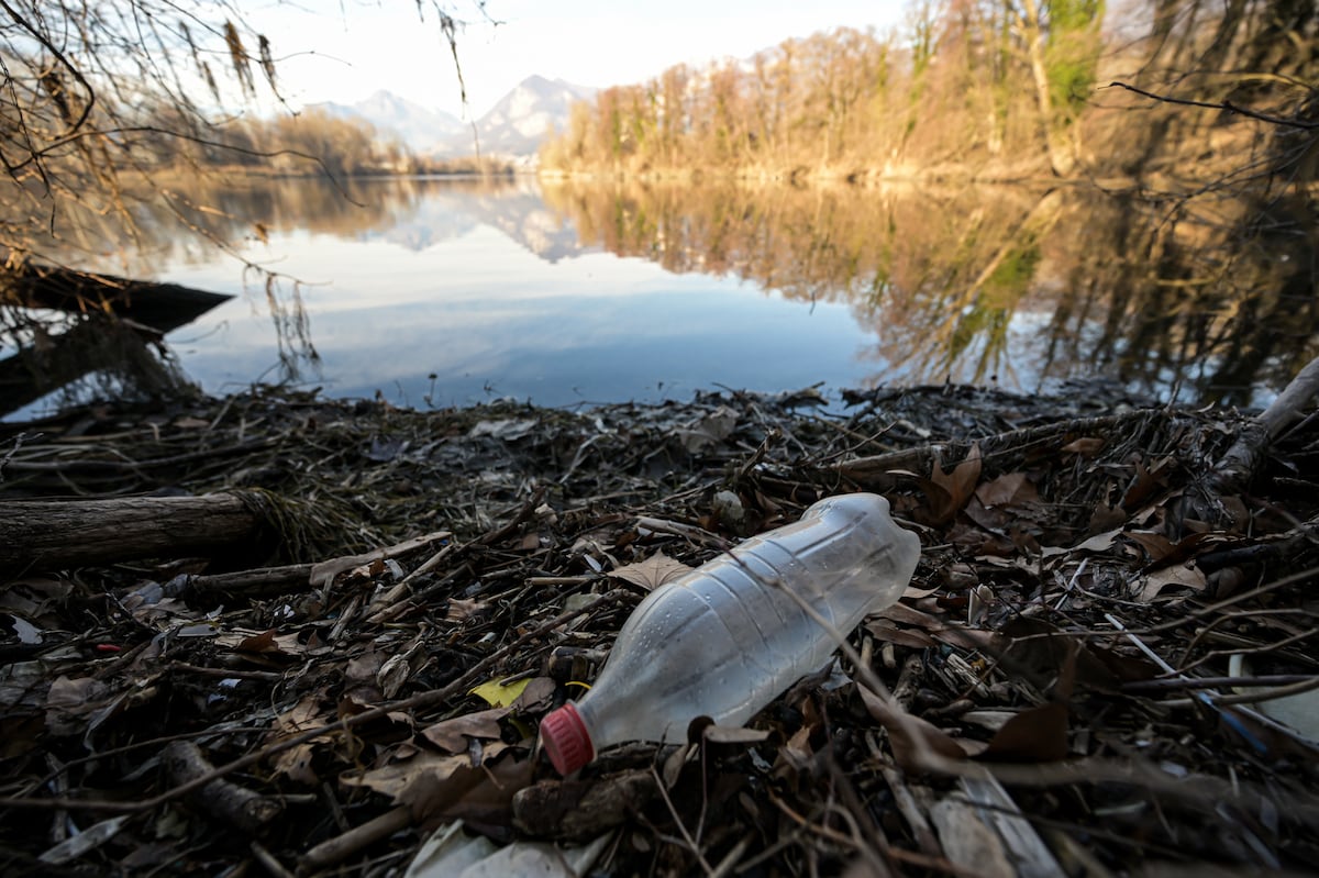Estudiantes europeos generan datos sobre contaminación plástica en ríos