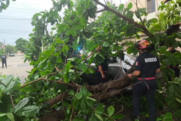 Lluvias en Yucatán generan 116 reportes de emergencia este sábado