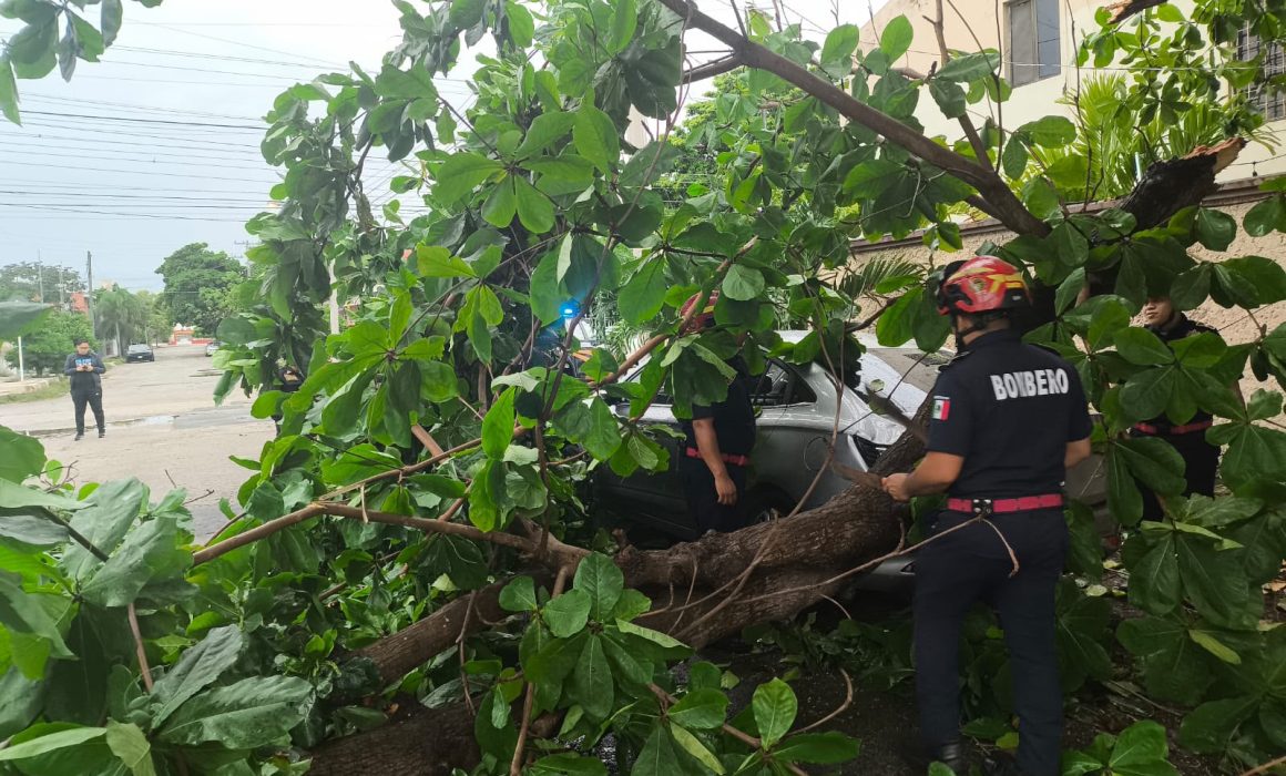 Lluvias en Yucatán generan 116 reportes de emergencia este sábado
