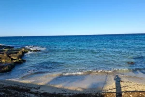Refuerzan limpieza de sargazo en Cozumel durante temporada vacacional