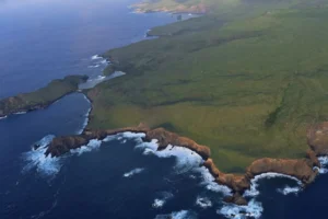 Diseña Semarnat estrategia interinstitucional para proteger el Parque Nacional Revillagigedo