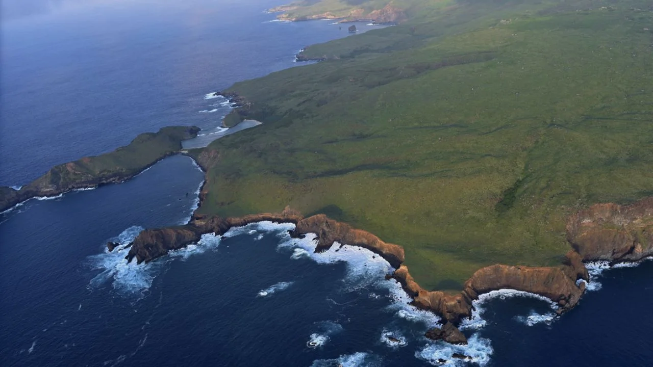 Diseña Semarnat estrategia interinstitucional para proteger el Parque Nacional Revillagigedo