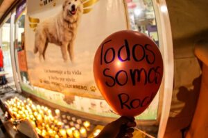 Discuten en Nuevo León la ‘Ley Rocky’ con penas de hasta 12 años por maltrato animal