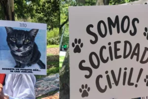 Manifestación en Chapultepec exige devolución de animales del Refugio Franciscano